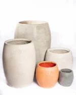 Amphora